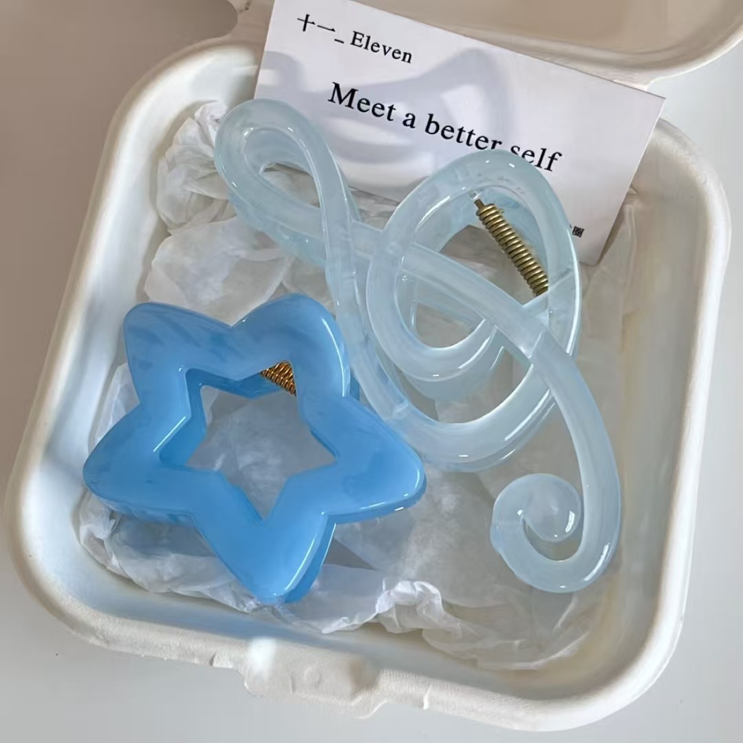 2 presilhas de cabelo elegante - Hair Clip Claw Large avaliação e preço