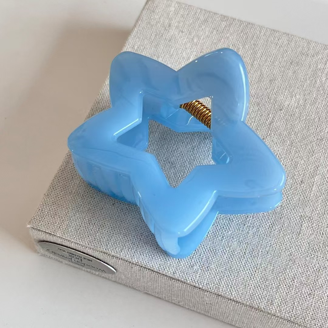 2 presilhas de cabelo elegante - Hair Clip Claw Large avaliação e preço
